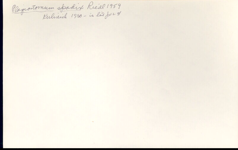 index card