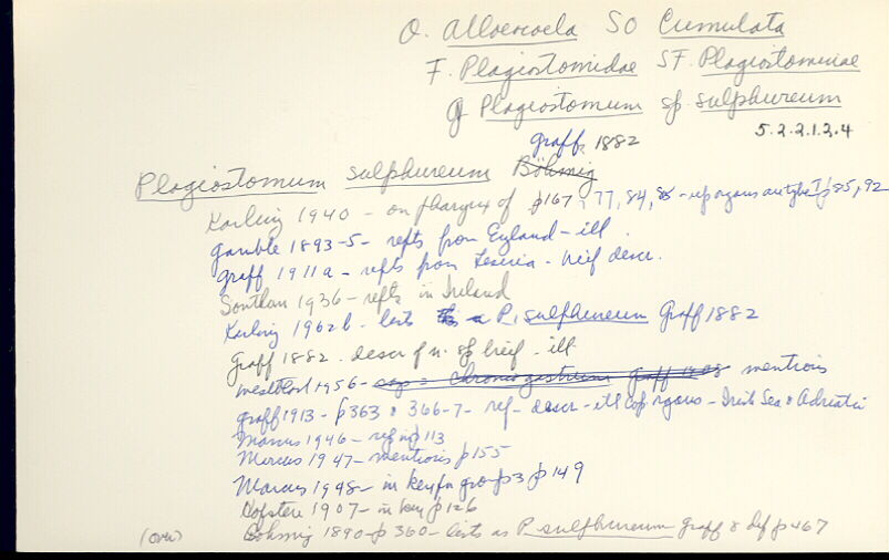 index card