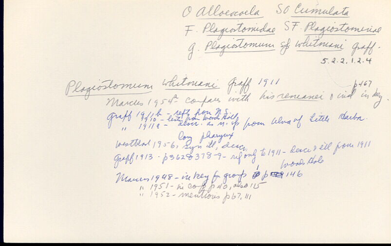 index card