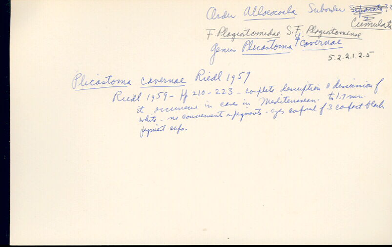 index card