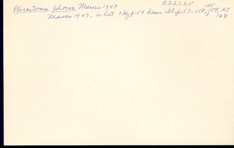 index card