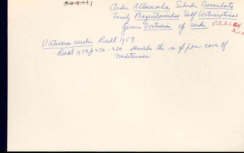 index card