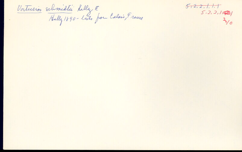index card