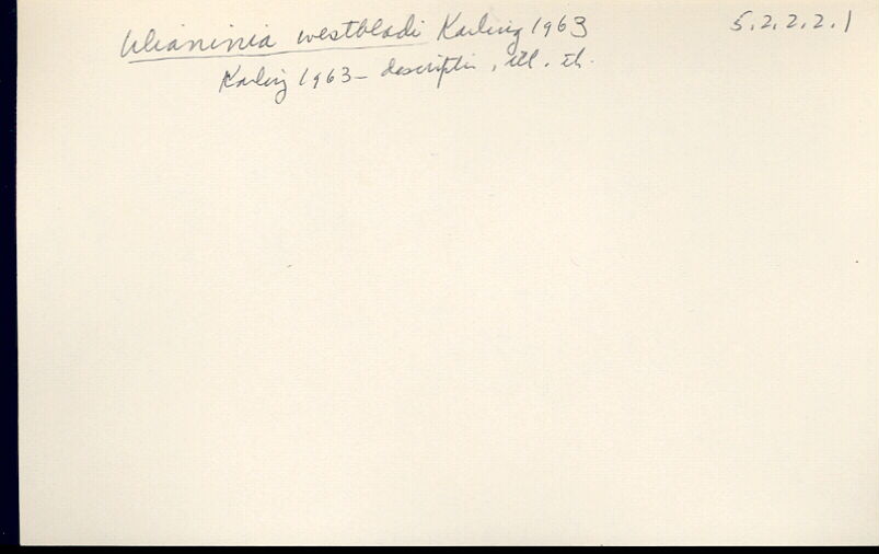 index card