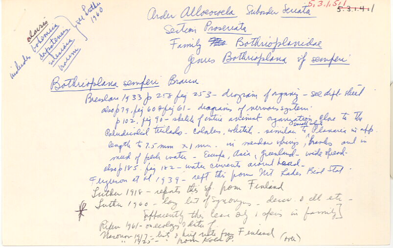 index card