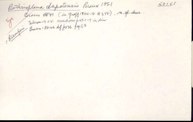 index card