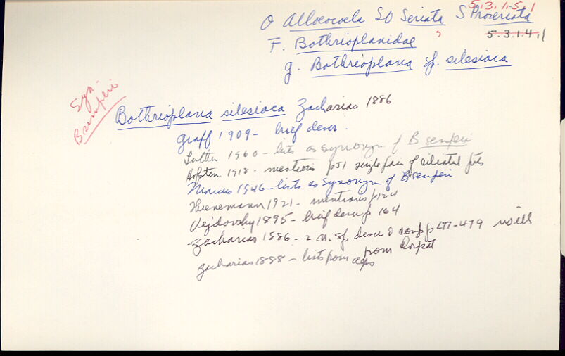 index card
