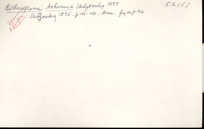 index card