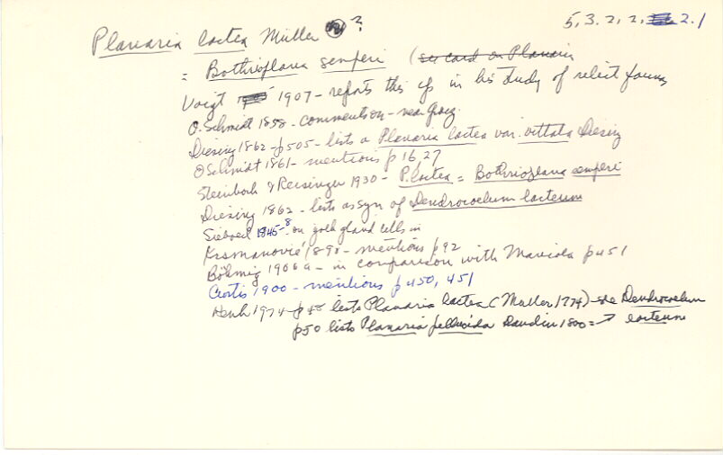 index card