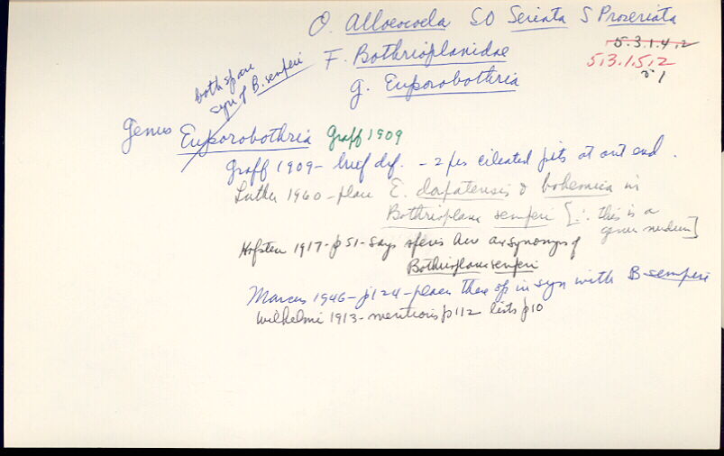 index card