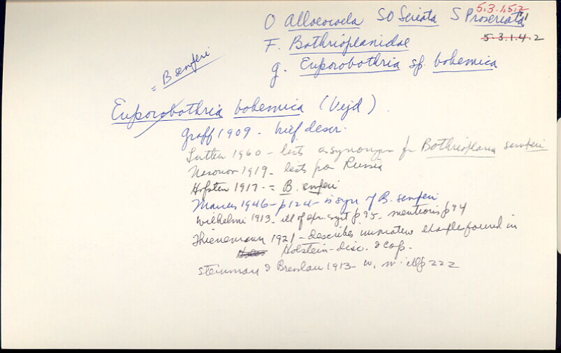 index card