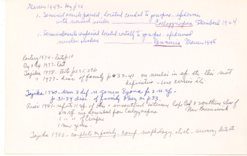 index card