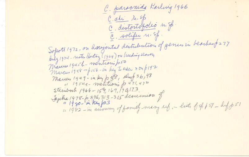 index card