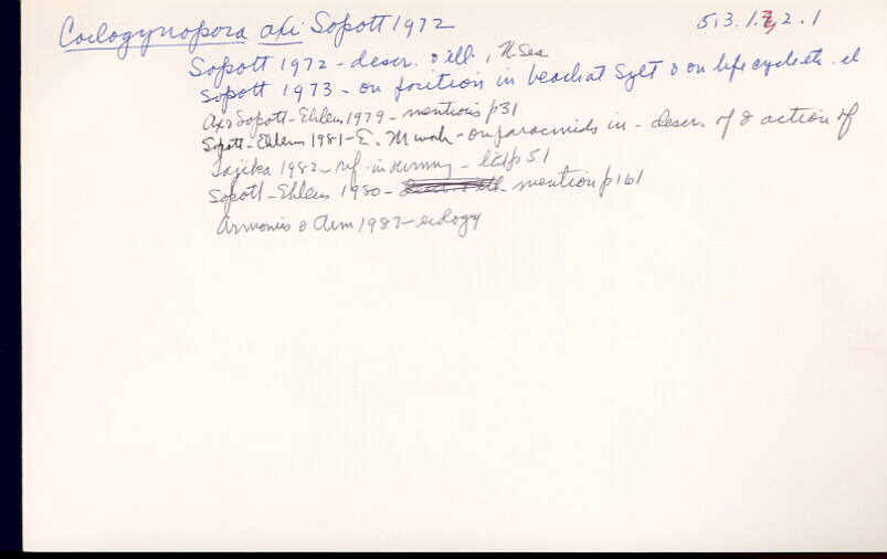 index card