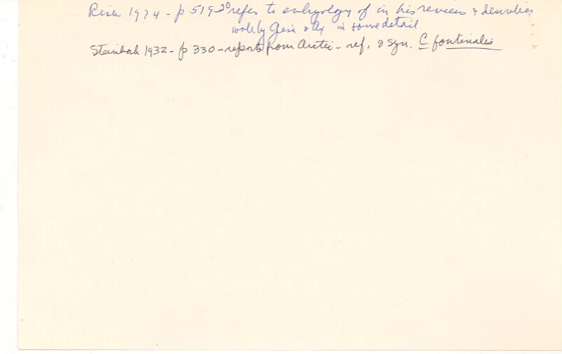 index card