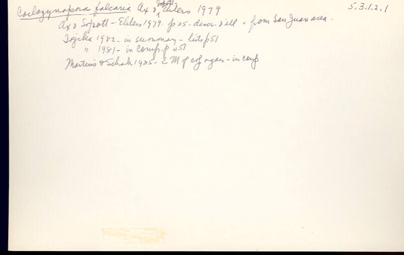 index card
