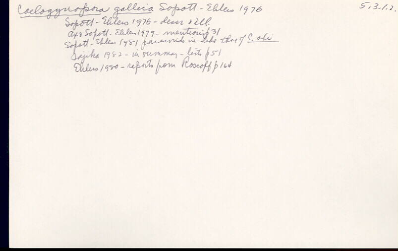 index card