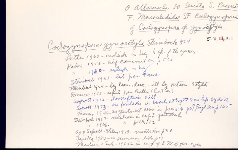 index card