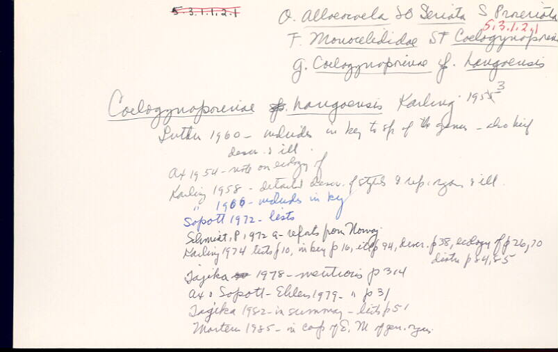 index card
