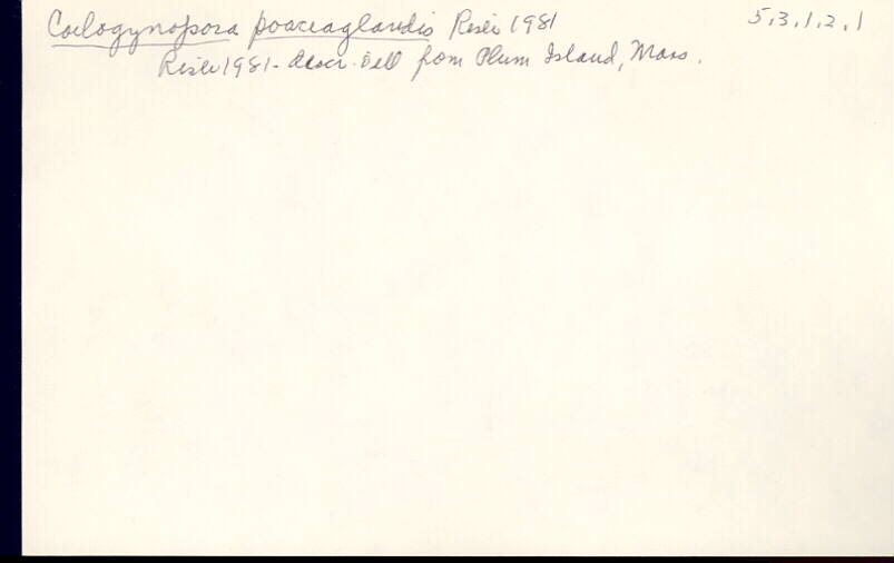 index card