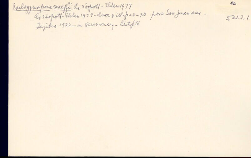 index card