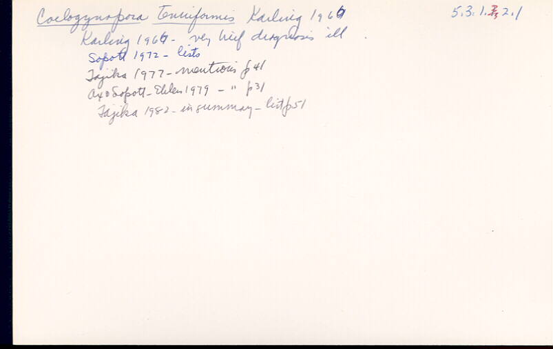 index card