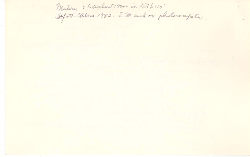 index card
