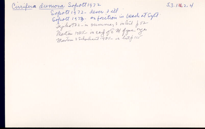 index card