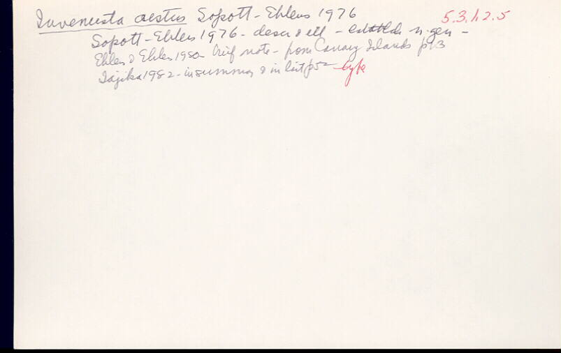 index card