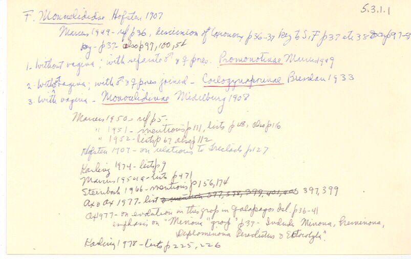 index card