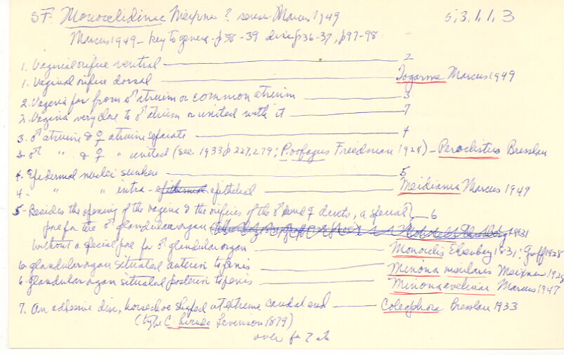 index card