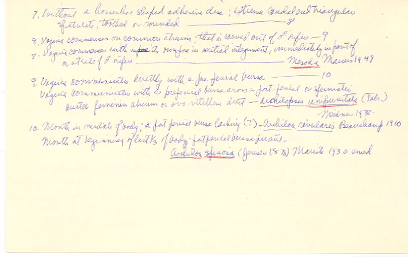 index card