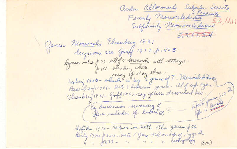 index card