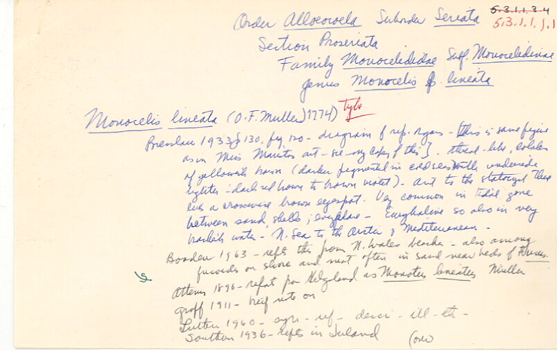index card