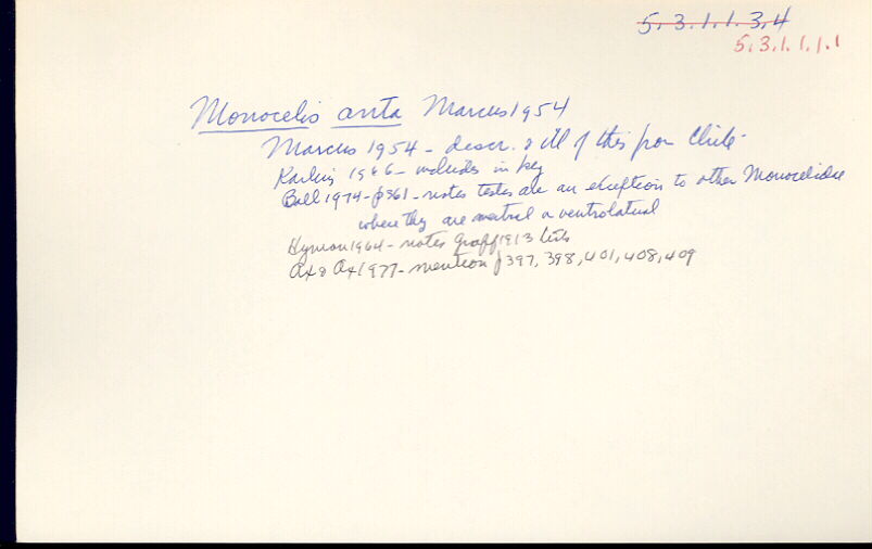 index card