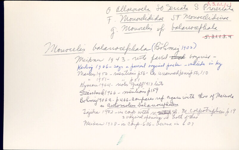 index card