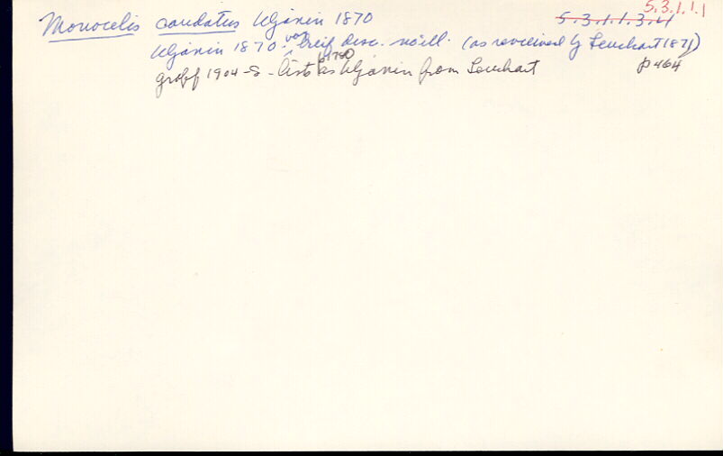 index card