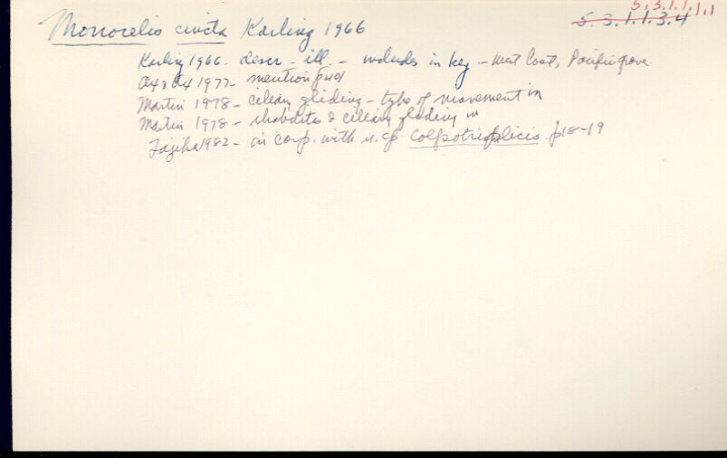 index card