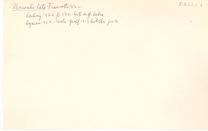 index card