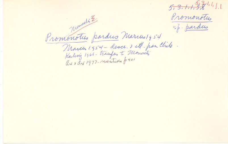 index card
