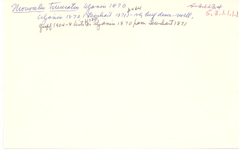 index card
