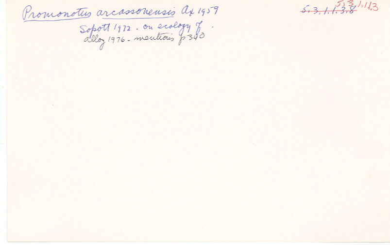 index card
