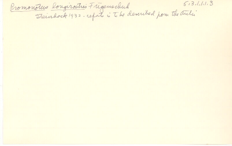 index card