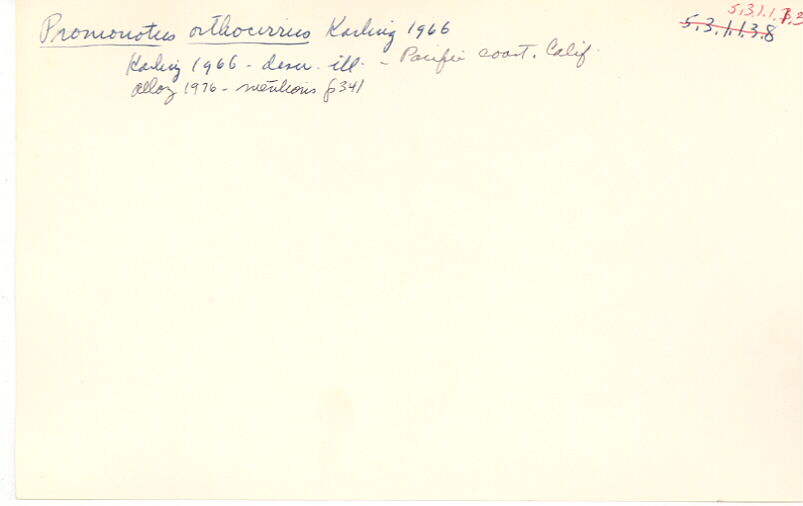index card