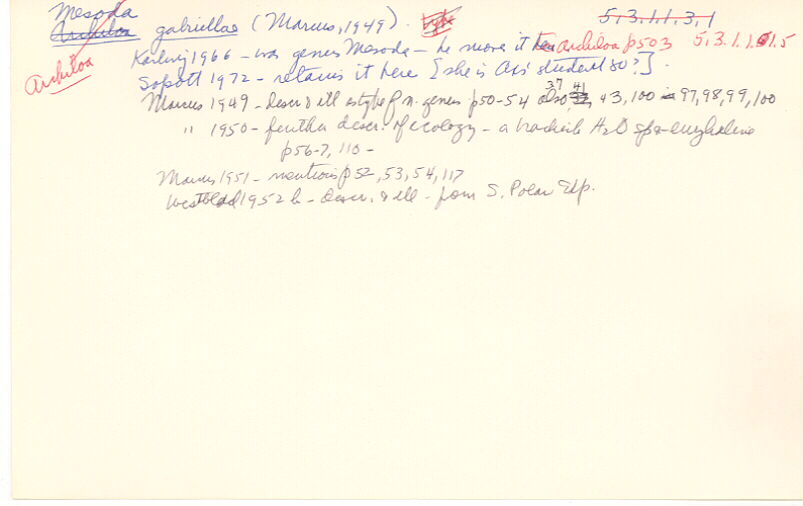 index card