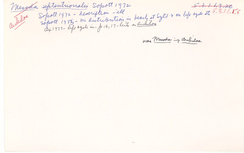 index card