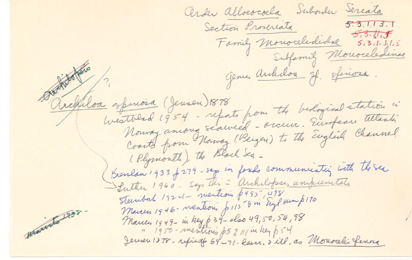 index card