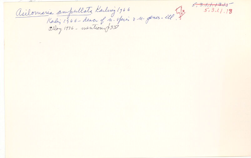 index card