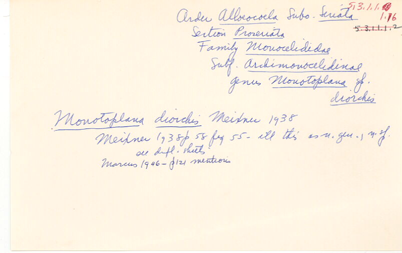 index card