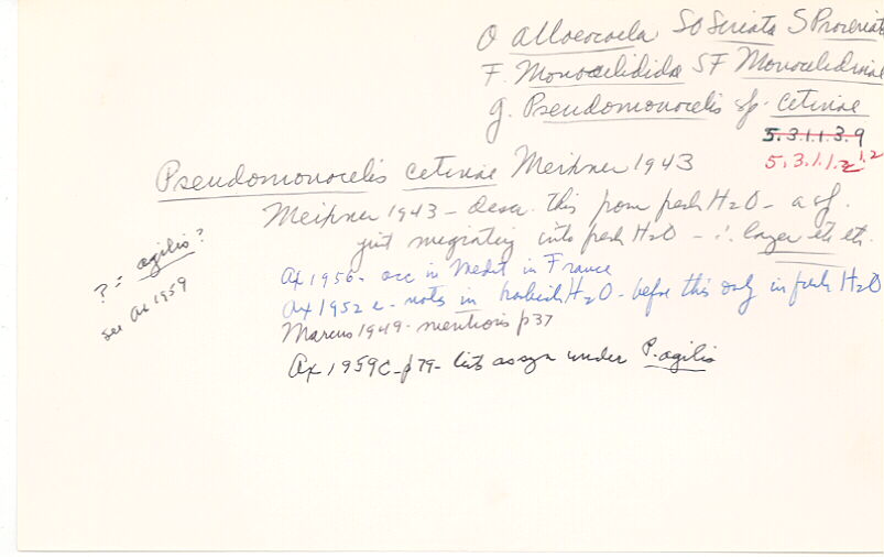 index card